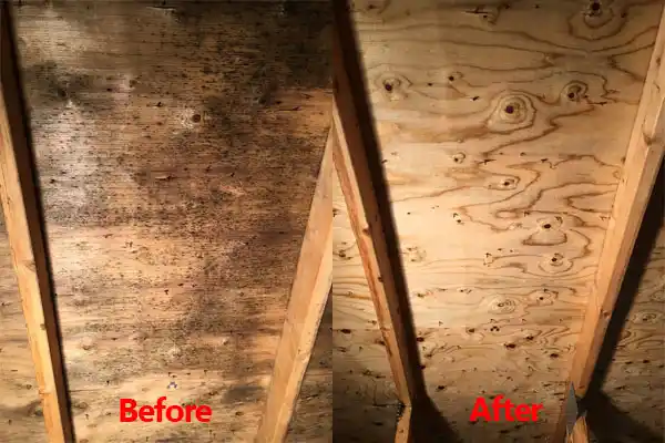 water damage restoration service Ventura